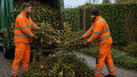 Landscaping Waste Removal